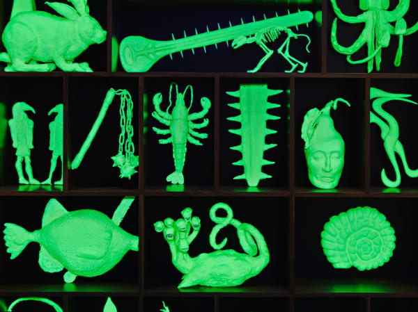 glow in the dark cabinet of animal skeletons