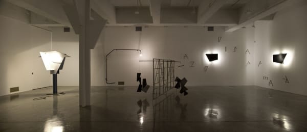 Boyce installation image at TBG NY, wall mounted sculptures