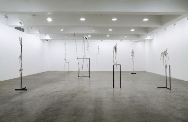 Charles Long installation view at TBG, bird sculptures
