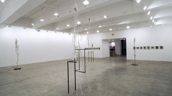 Charles Long installation view at TBG, bird sculptures