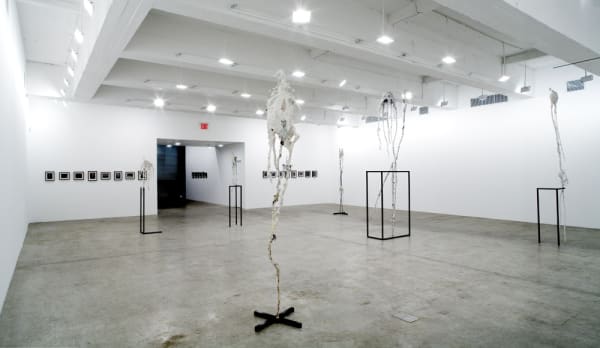 Charles Long installation view at TBG, bird sculptures