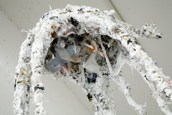 Charles Long installation view at TBG, bird sculptures