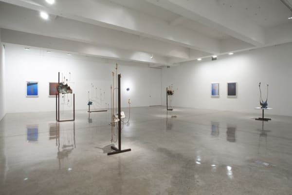 Charles Long installation view at TBG, sculptures