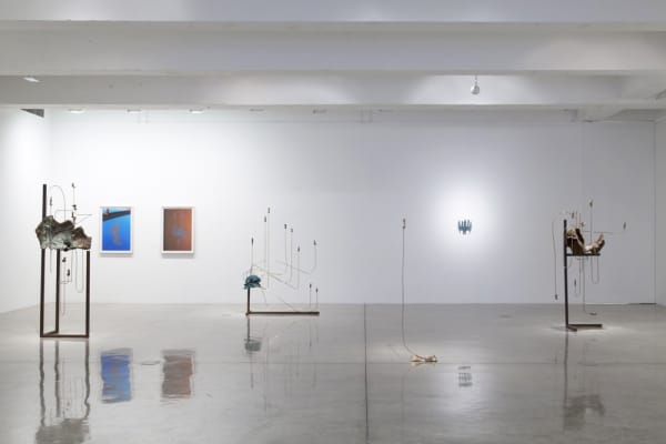 Charles Long installation view at TBG, sculptures on pedestals