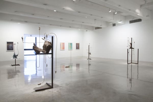 Charles Long installation view at TBG, sculptures
