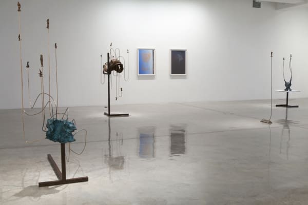 Charles Long installation view at TBG, sculptures