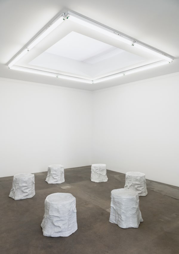 Charles Long installation view at TBG, stump circle