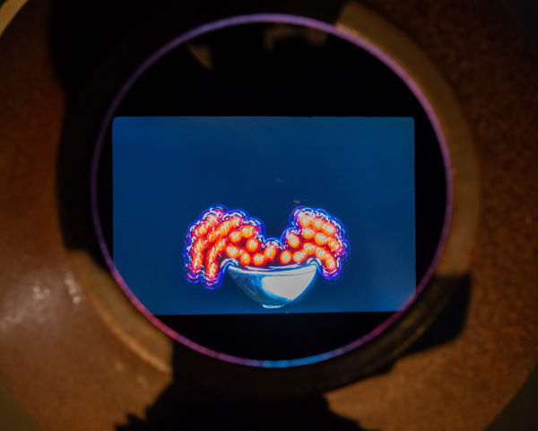 Djurberg & Berg video installation