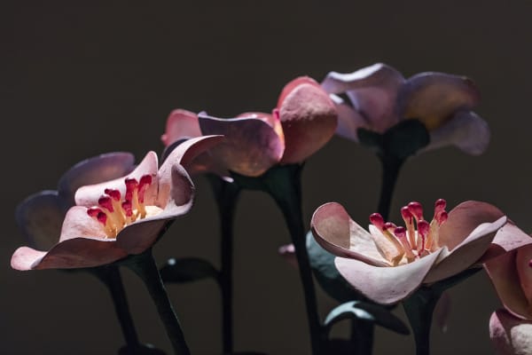 Djurberg & Berg video installation, the experiment