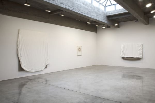 image of saban paintings installed at TBG