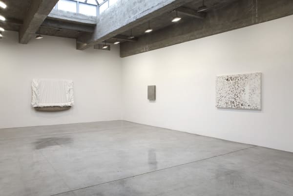 image of saban paintings installed at TBG