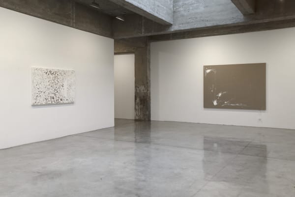 image of saban paintings installed at TBG