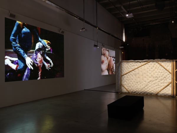 Djurberg & Berg video installation