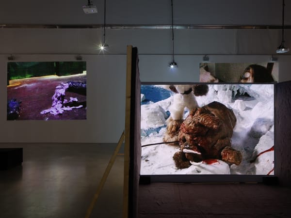 Djurberg & Berg video installation