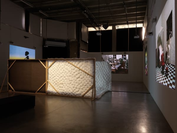 Djurberg & Berg video installation