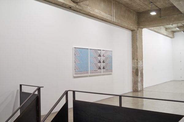 Lisa Oppenheim installation view, wood cut photographs