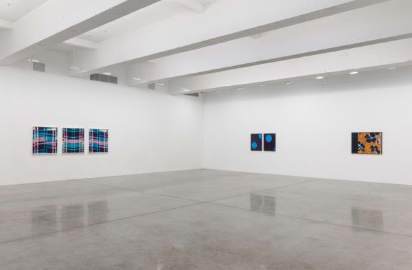 Lisa Oppenheim installation view, weaves