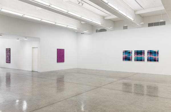 Lisa Oppenheim installation view, weaves