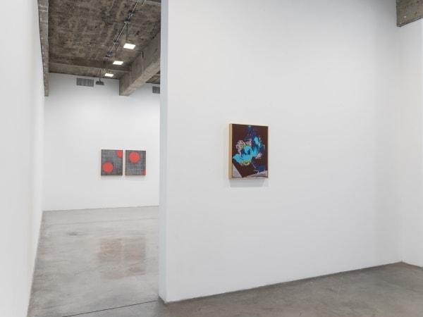 Lisa Oppenheim installation view, weaves