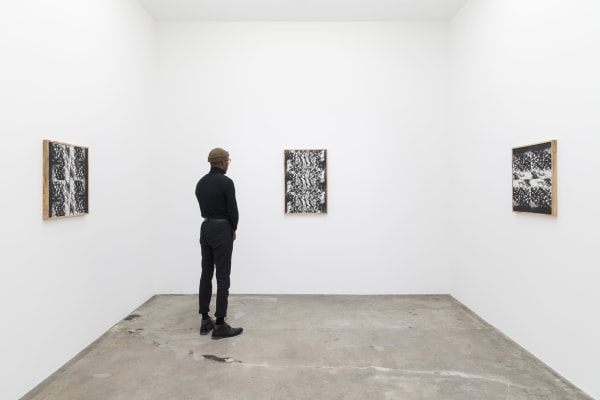Installation view of Lisa Oppenheim, wood grain