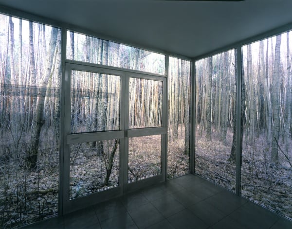 Hornig inside sculptural structure with tree photographs