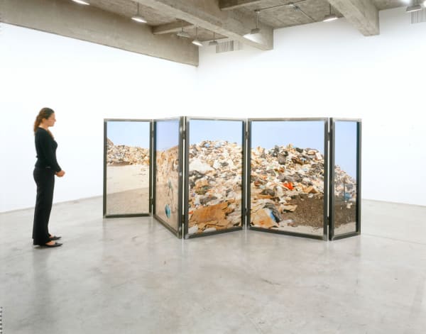 image of Hornig sculptures with transparent photographs