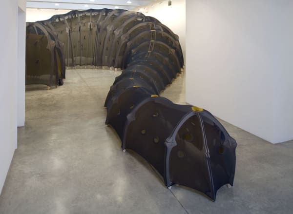 Ernesto Neto tunnel made of fabric