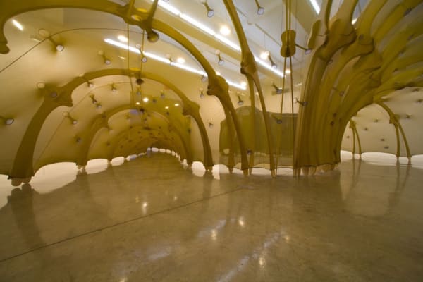 Ernesto Neto tunnel made of fabric