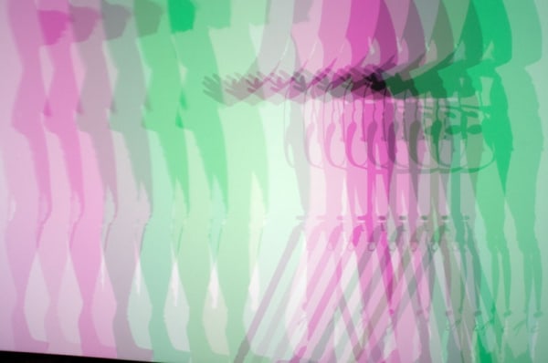 shadow and light room installation at TBG
