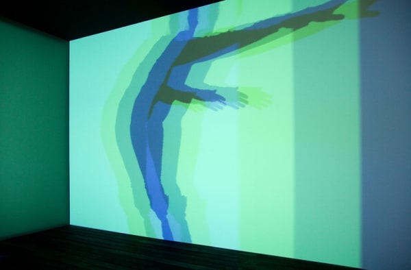 shadow and light room installation at TBG