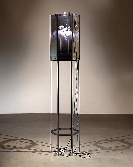 Collishaw sculpture