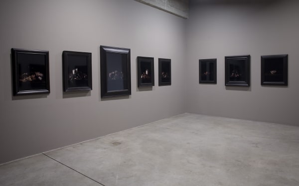 installation view of Collishaw photos