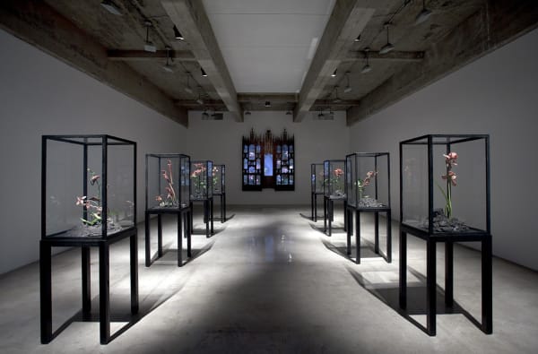 installation view of Collishaw sculptures
