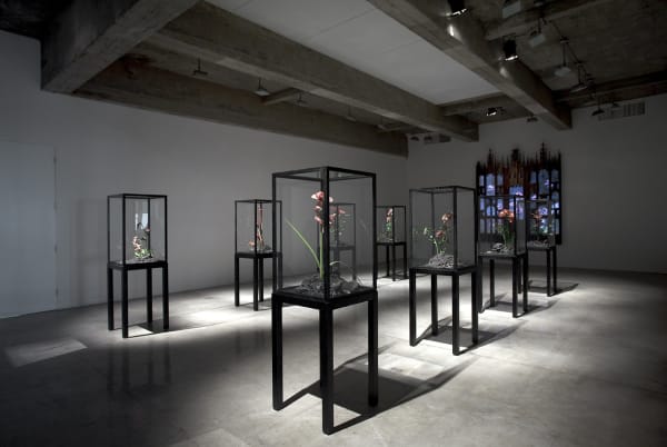 installation view of Collishaw sculptures