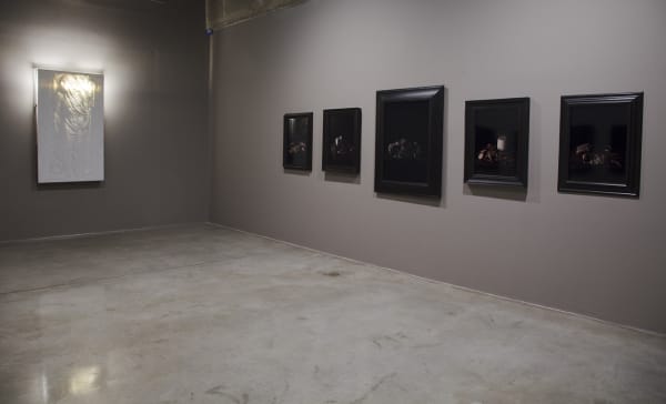 installation view of Collishaw photos