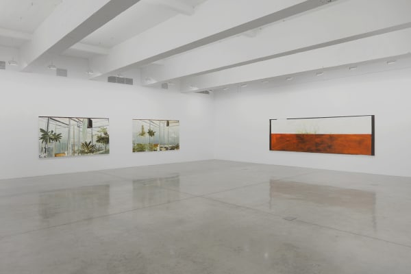 image of Carla Klein paintings