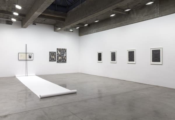 Dirk Stewen installation view