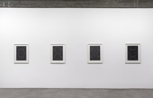 Dirk Stewen installation view