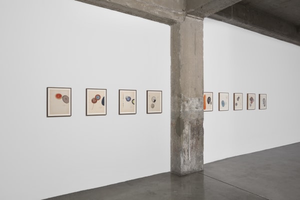 Dirk Stewen installation view
