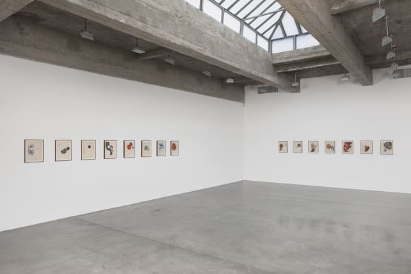 Dirk Stewen installation view