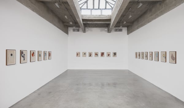 Dirk Stewen installation view