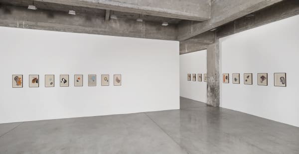Dirk Stewen installation view
