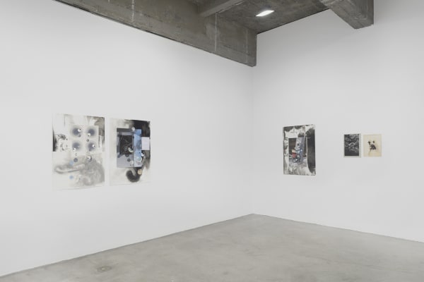 Dirk Stewen installation view
