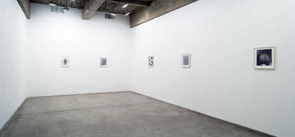 Wermers works on paper installation image