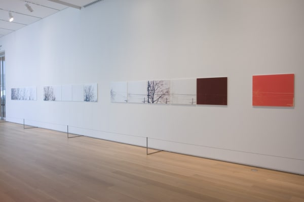 Uta Barth installation at AIC, light photographs