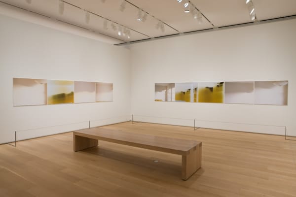 Uta Barth installation at AIC, sundial series