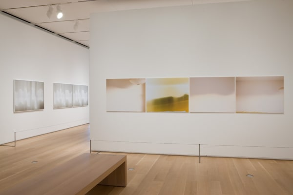 Uta Barth installation at AIC, sundial series