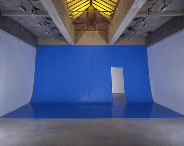 Eliasson room divided