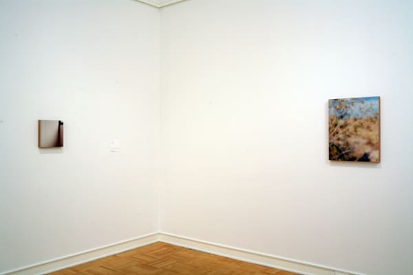 Uta Barth photography series at Henry Art Gallery