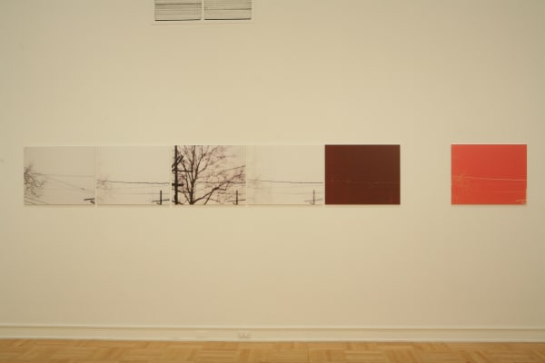 Uta Barth photography series at Henry Art Gallery